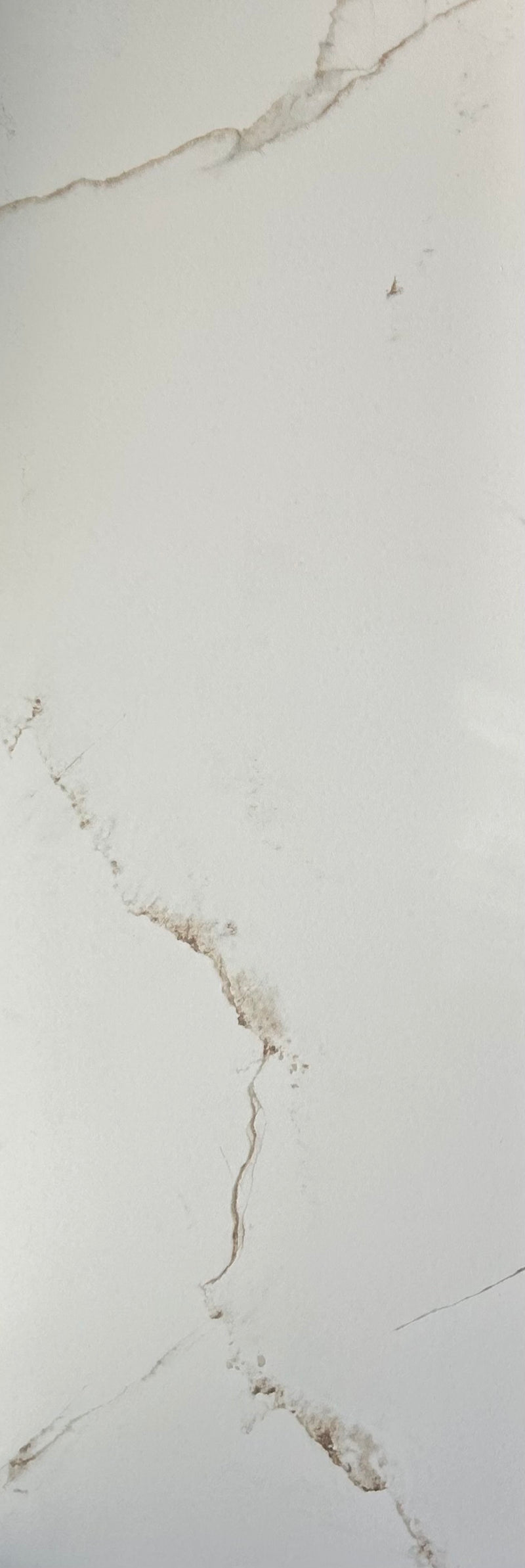 Dual White 1000x333